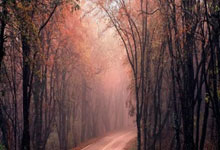 巴西甲级联赛，圣保罗迎战弗拉门戈——巅峰对决，谁主沉浮？