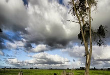 波兰队取得胜利，实力彰显期待出线