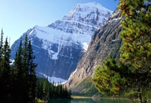 波兰队取得胜利，实力彰显期待出线