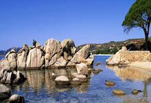 斩获国亚我国预赛罦保版本篮：荣耀之路与创新篇章